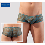 Short - Leo